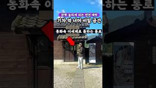 기차역 너머의 그림 같은 비밀공간 #국내여행지추천