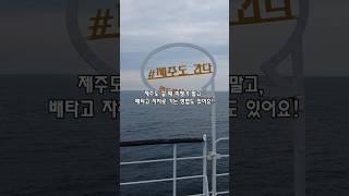 배타고 제주도 가는 꿀팁! 완도 실버클라우드 vs 목포 퀸제누비아 비교 #제주도배편 #국내여행 #제주도여행