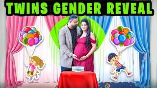 Gender Reveal - Twin Babies