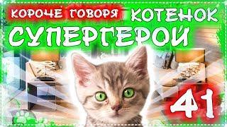 КОРОЧЕ ГОВОРЯ, КОТЕНОК СУПЕР ГЕРОЙ 41 / расплата бандитов / бездомный котенок Лайки