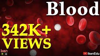 Blood | Learn About Blood Composition And Its Functions