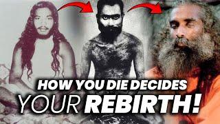 They Clearly Experienced Their Past Life! |  Sadhguru | Rebirth | Reincarnation | Death | Adiyogi