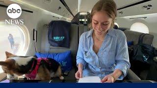 Bark Air celebrates pooches who travel