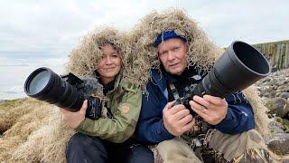 Practical Bird Photography: Why Camo-nets Make All the Difference