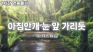 아침안개 눈 앞 가리듯 | 마커스워십 | 은혜찬양 | 쥬빌라테