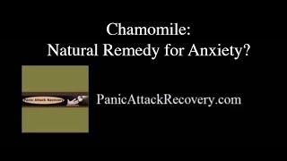 Chamomile for Anxiety | Natural Remedies for Anxiety
