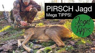 Jagd Tipps #1  |  Erfolgreich Pirschen  | Spannende Praxistipps für die Jagd