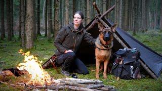 Bushcraft tour  wilderness trip  camp in the forest  campfire, minus degrees, German Shepherd 