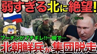 【ゆっくり解説】ロシア軍所属北朝鮮兵の大失態…クルスク州に配置予定も戦闘開始前に脱走…【ゆっくり軍事プレス】