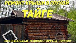 Тайга — лучший учитель. Урок №1: крыша — это роскошь