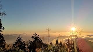 2023/02/13阿里山。傷心山。落日雲海。Taiwan Alishan Cloud Sea ＆ Sunset