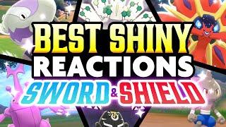 The BEST SHINY REACTIONS in POKEMON SWORD and SHIELD! Shiny Montage!