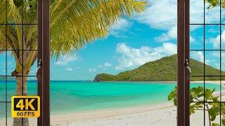 4K Tropical Beach window view in the Caribbean - Palm Trees, Ocean Sounds, Waves, White Noise