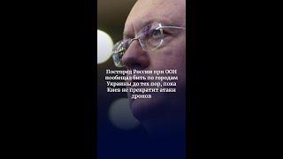 Постпред РФ при ООН пообещал бить по городам Украины до тех пор, пока Киев не прекратит атаки дронов