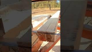 Bandsaw Slicing Through #wood #woodworking #construction #diy #machine #shorts #sawmill #woodmizer