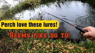 lure fishing for perch and pike in rivers