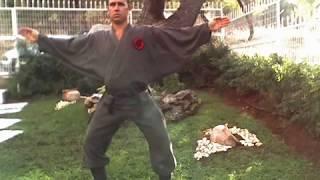 George Papasimakis bujinkan ninjutsu