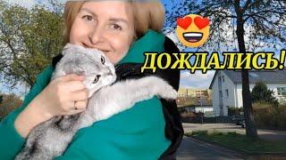 ДОЛГОЖДАННАЯ ВСТРЕЧА  ОТМЫВАЕМ КУХНЮ. 