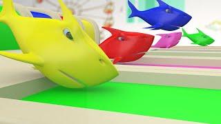 Baby Shark Learn Colors with Sharks Trucks Toys Water Slide Colors for Kids Nursery Rhymes