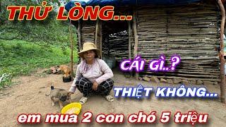 " THỬ LÒNG "chị GÁI RAGLAI vào nhà mua 2 con chó 5 triệu và CÁI KẾT.../294