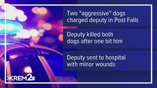 Kootenai County Deputy shoots, kills two dogs following attack