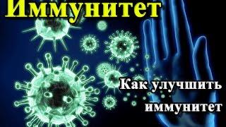 ИММУНИТЕТ. ИММУНОСТИМУЛЯТОРЫ Как поднять иммунитет.