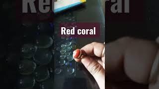 Red coral  for which lagan#shorts .