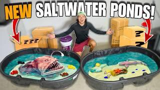 SHOPPING SPREE For My New ANGLER FISH & TIDE POOL PONDS!