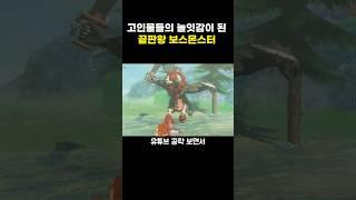 젤다의전설 사실상 놀이인 보스몹 ㅋㅋㅋ