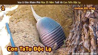 Vua lì đòn khám phá rùa 25 năm tuổi và con tatu độc lạ || Review Giải Trí Đời Sống