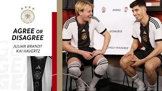 Monte oder Eli: Wessen Streams sind besser?  | Brandt & Havertz in Agree or Disagree