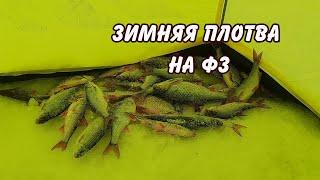 зимняя плотва на фз