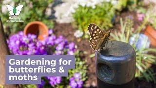 Gardening for Moths and Butterflies - Leah Cox Species on the Map