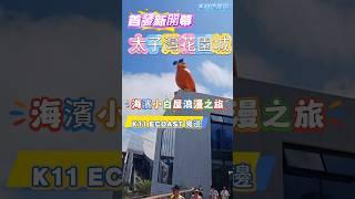 【深圳】首發 新開幕 太子灣花園城 新開食店介紹 蛇口新地標 海濱小白屋商場 無敵海景 太子灣站B1出口 深圳最新商場 港人必逛商場 #花園城 #太子灣花園城 #深圳灣口岸 #太子灣站 #深圳一日遊