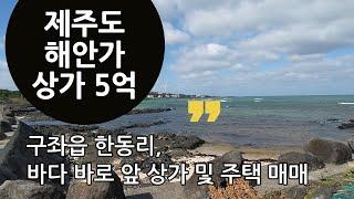 제주도 바다 영구조망 해안가 상가 및 주택 매매 5억 | 제주도부동산