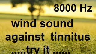 10 minutes wind at 8000 Hz as sound therapy for tinnitus