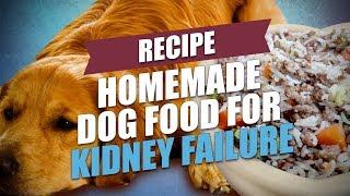 Homemade Dog Food for Kidney Failure Recipe (Healthy and Cheap)