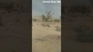 Shahid Khan 786