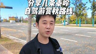 整理了几条《秦岭赏秋自驾游路线》，1日2日的都有