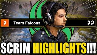 OVERSIGHT SCRIM HIGHLIGHTS WITH FALCONS!!! | Falcon ImperialHal