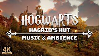 A Calm Autumn Morning at Hagrid's Hut | 4K Harry Potter Music & Ambience