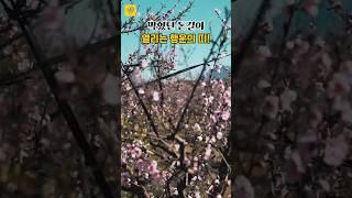 막혔던 돈길이 열리는 행운의 띠!  #띠별운세 #풍수 #사주 #행운 #돈복