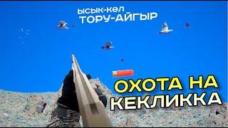 Ысык-Көл / Тору-Айгыр / КЕКИЛИККЕ АҢЧЫЛЫК