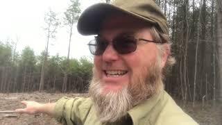 So many ecological ways to use land #permaculture