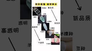 8秒钟马上教会你看懂翡翠种水！#翡翠 #翡翠知识 #翡翠种水 #翡翠叶子