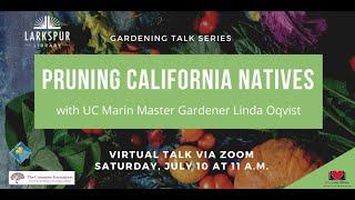 Pruning California Natives with UC Marin Master Gardener Linda Oqvist