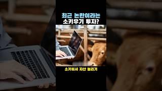 최근 논란이라는 소키우기 투자?