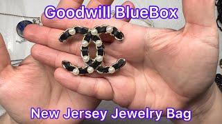 Goodwill BlueBox 5 Pound Mystery Jewelry Box Epic NJ NY Bag Real Chanel?Tiffany? #unboxing #jewelry