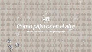 Como pájaros en el aire (Peteco Carabajal; Arr. Liliana Cangiano) - Coro Nacional IAJ