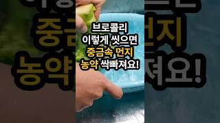 브로콜리 이렇게 씻으면 중금속 먼지 농약 싹 빠집니다. 브로콜리 씻는 법 #브로콜리 #브로콜리씻는법